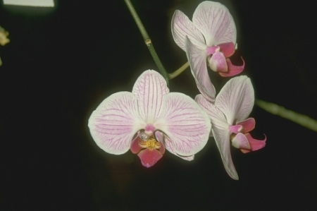 07